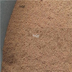 19.9usd Ngryise 250Gram A Set Dalbergia dyeriana powder