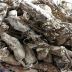 19.9usd Ngryise 30Pcs A Set isaria cicadae Miquel