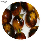19.9usd Ngryise 6000Pcs A Set BUMBLE BEE HEIRLOOM TOMATO seed