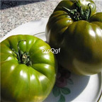 19.9usd Ngryise 6000Pcs A Set Emerald green tomato seed