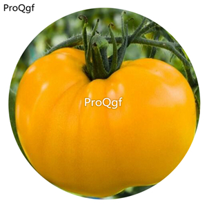 19.9usd Ngryise 6000Pcs A Set Azoychka Tomato  seed