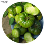 19.9usd Ngryise 6000Pcs A Set Aunt Rubys German Green Tomato seed