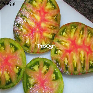 19.9usd Ngryise 6000Pcs A Set Ananas Noire tomato seed