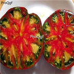 19.9usd Ngryise 6000Pcs A Set Aunt Berkeley Tie Dye Pink artisan tomato seed