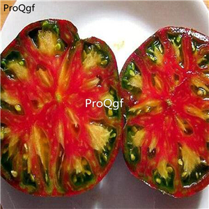 19.9usd Ngryise 6000Pcs A Set Aunt Berkeley Tie Dye Pink artisan tomato seed