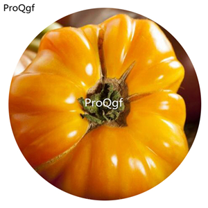 19.9usd ngryise 6000pcs Amana Orange Tomato seed