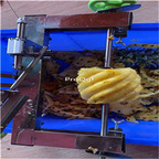 299usd Ngryise 1 Set pineapple peeling off skin machine high quality