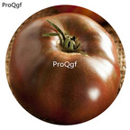 19.9usd Ngryise 6000Pcs A Set Black Brandywine Tomato seed