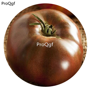 19.9usd Ngryise 6000Pcs A Set Black Brandywine Tomato seed