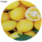 Ngryise 6000Pcs A Set plum lemon tomato