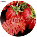19.9usd Ngryise 6000Pcs A Set mexican Zapotec ruffled tomato  seed