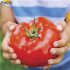 19.9usd Ngryise 6000Pcs A Set Big Beef Hybrid Tomato seed
