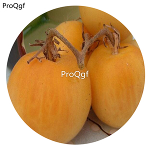 19.9usd ngryise 6000pcs Wapsipinicon Peach Heirloom Tomato seed