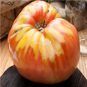19.9usd ngryise 6000pcs Pink Strawberry German tomato seed