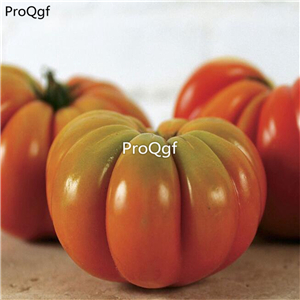 19.9usd ngryise 6000pcs a set Genuwine Hybrid Tomato