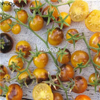 19.9usd ngryise 6000pcs Purple Gold Cherry Tomato seed