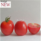 19.9usd ngryise 6000pcs Red Racer Hybrid Tomato seed