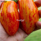 19.9usd ngryise 6000pcs Sweet touch tomato seed