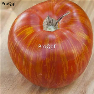 19.9usd ngryise 6000pcs Solar Flare tomato seed