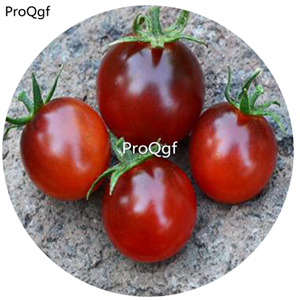 19.9usd Ngryise 6000Pcs A Set Bing Cherry Tomato seed