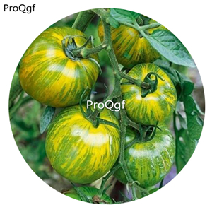 19.9usd ngryise 6000pcs Green Zebra Tomato seed