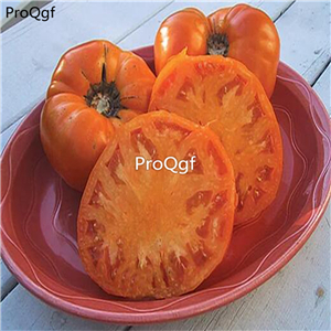 19.9usd Ngryise 6000Pcs A Set Low acidic tomato seed