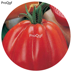 19.9usd ngryise 6000pcs Italian 'Cuore di Bue' Fruit Tomato  seed