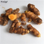 19.9usd Ngryise 5Pcs A Set Curcuma longa turmeric