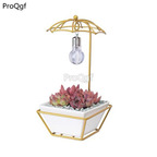 19.9usd Ngryise 1 Set umbrella series friend gift Flower Pot