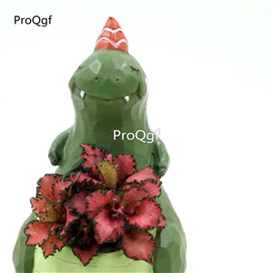 19.9usd Ngryise 1 Set few stock series friend gift Flower Pot no plant inside