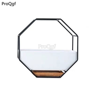 19.9usd Ngryise 1 Set living in same world series friend gift Flower Pot