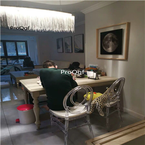 199usd Ngryise 1 Set europe style acrylic leisure chair