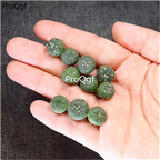 29usd Ngryise 10Pcs A Set random succulent