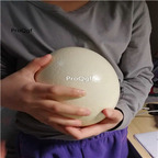 39.9usd Ngryise 1 Set Struthio camelus egg