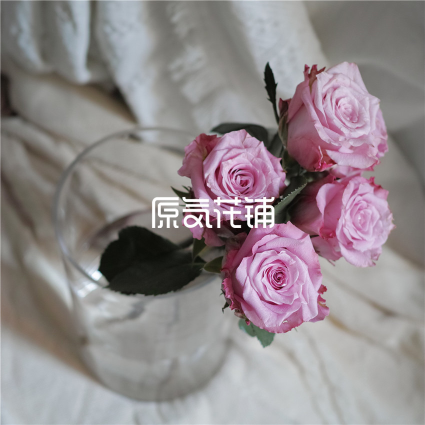 原气花铺-花店-上海-北京碧海--单枝中国云南玫瑰-4