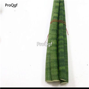 78usd Ngryise 3Pcs A Set Sansevieria trifasciata gunbang species plant