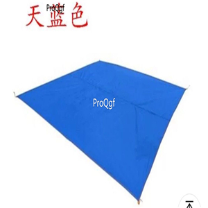 39usd Ngryise 1 Set 300*300cm waterproof mat