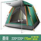 139usd Ngryise 1 Set 220*220*170cm fashion tent