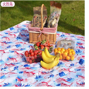 39usd Ngryise 1 Set 200*200cm fashion waterproof mat