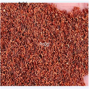 39usd Ngryise 300Pcs A Set Brainea insignis seed
