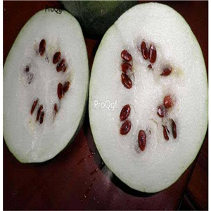 29.9usd Ngryise 500Pcs A Set white watermelon seed