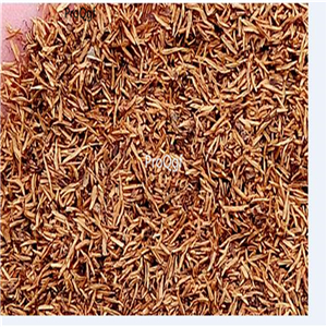 29.9usd Ngryise 500Pcs A Set Leptospermum scoparium seed