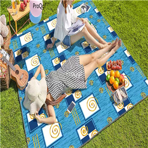 59usd Ngryise 1 Set ins three classic series Outdoor Picnic Grass Mat