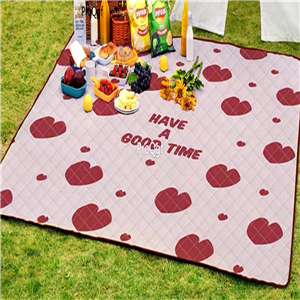 69usd Ngryise 1 Set few stock ins style picnic grass use mat
