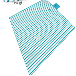 69usd Ngryise 1 Set ins style cat car etc picnic grass use mat