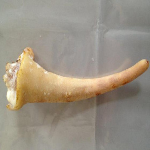 生猪尾500g-2