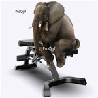 199usd Ngryise 1 Set highly recommend good at home weight bench lifting