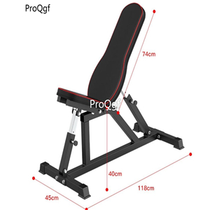 199usd Ngryise 1 Set no kidding sports at home weight bench lifting