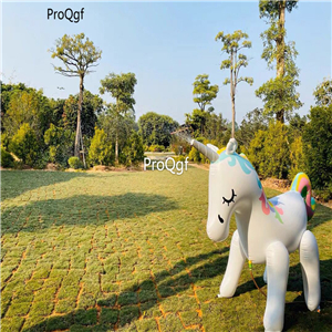 69usd Ngryise 1 Set inflatable summer ins style animal toy