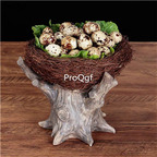 59usd Ngryise 1 set tree branch series food decoration plate(no food inside)